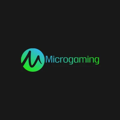 MICRO GAMING